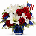 Land of the Free