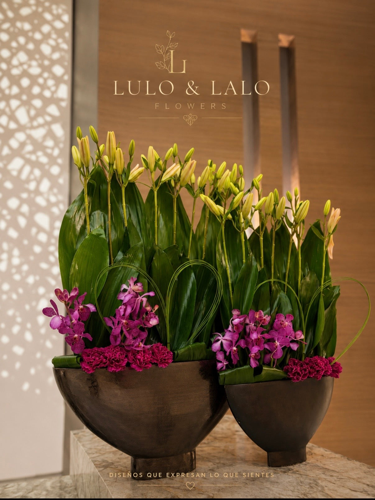 Orchid Duo Luxury Arrangement